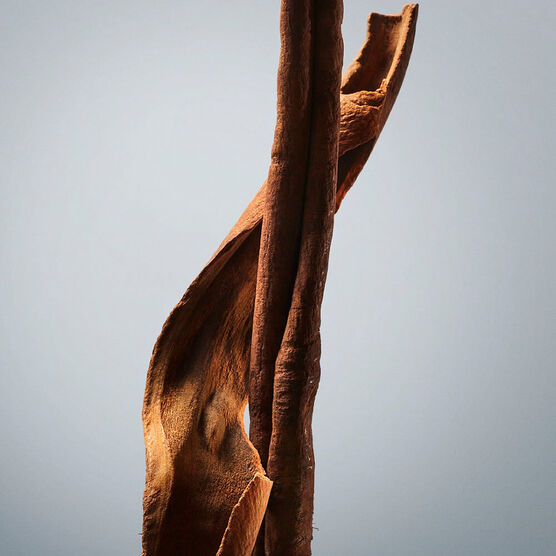 BOSS       HOMME         EDTV 100ML